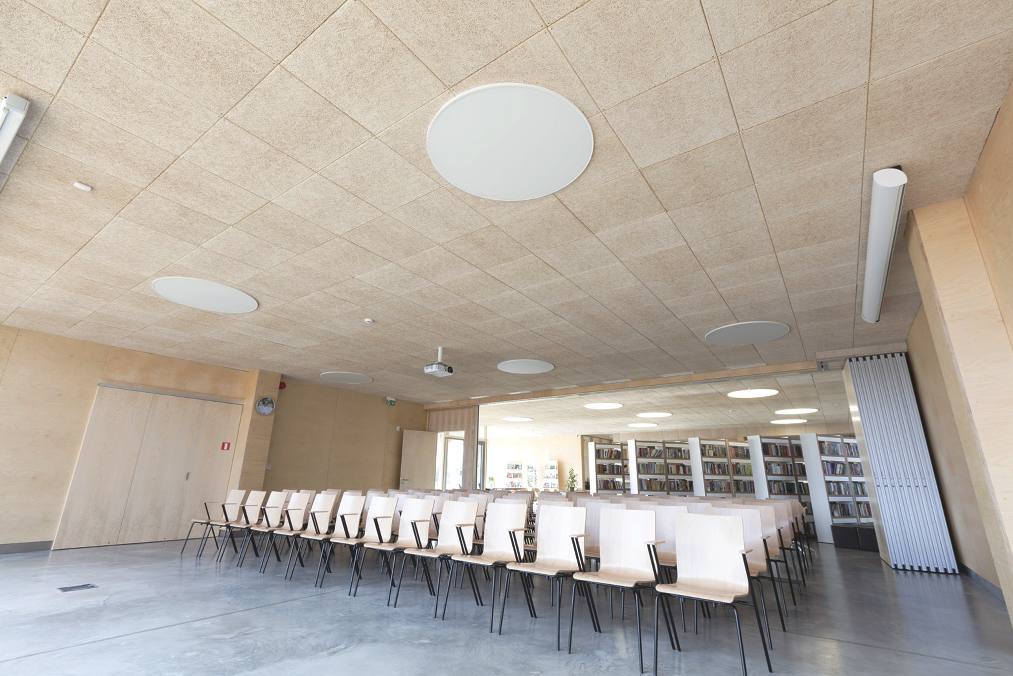 Cewood Ceiling 10