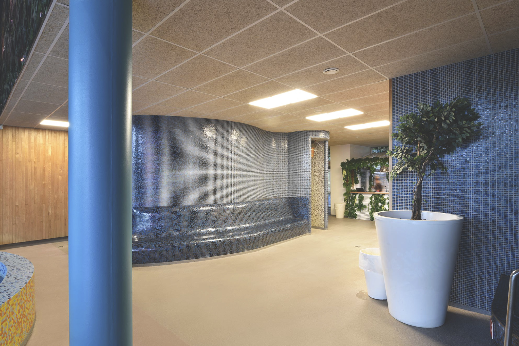 Cewood Ceiling 12
