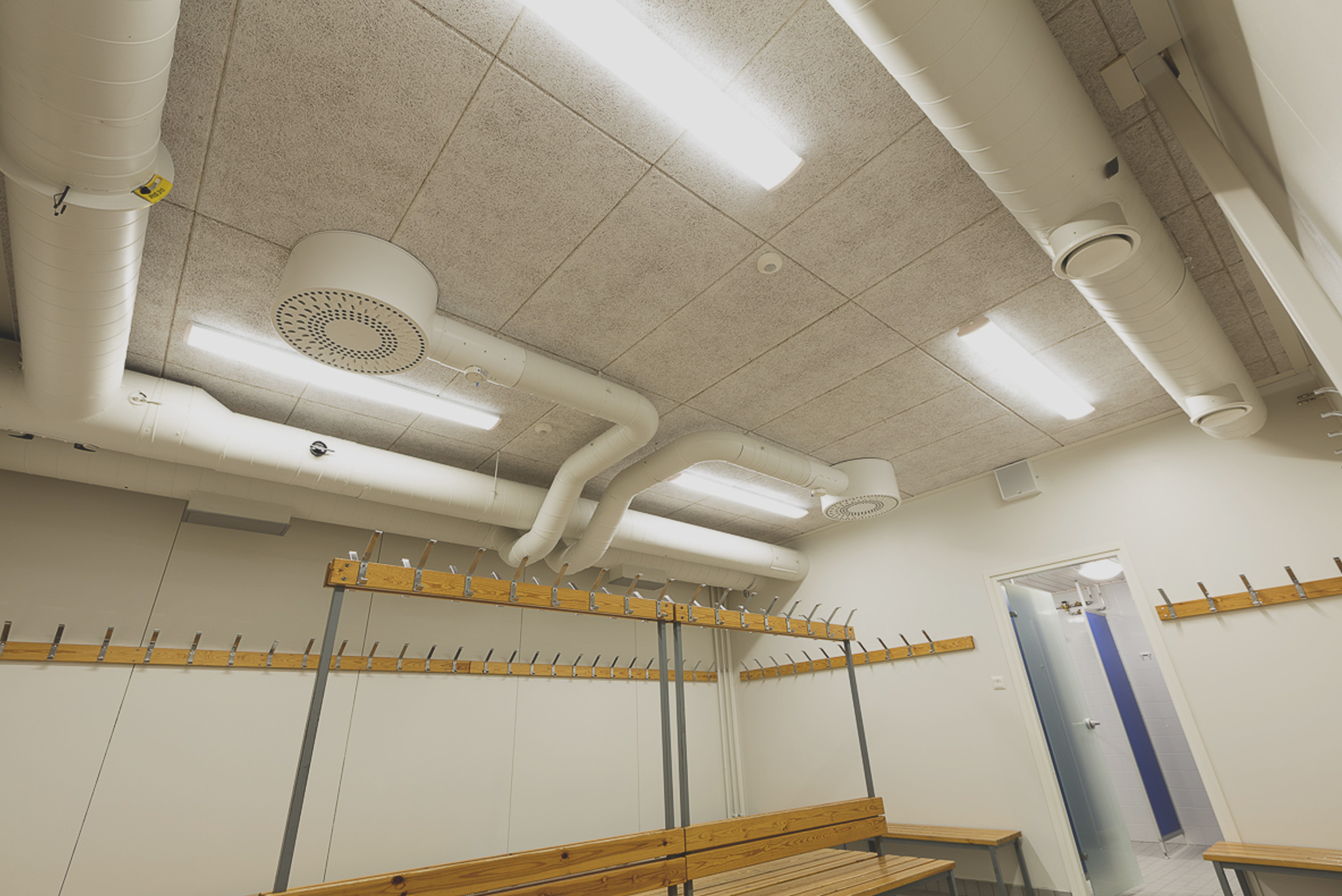 Cewood Ceiling 9